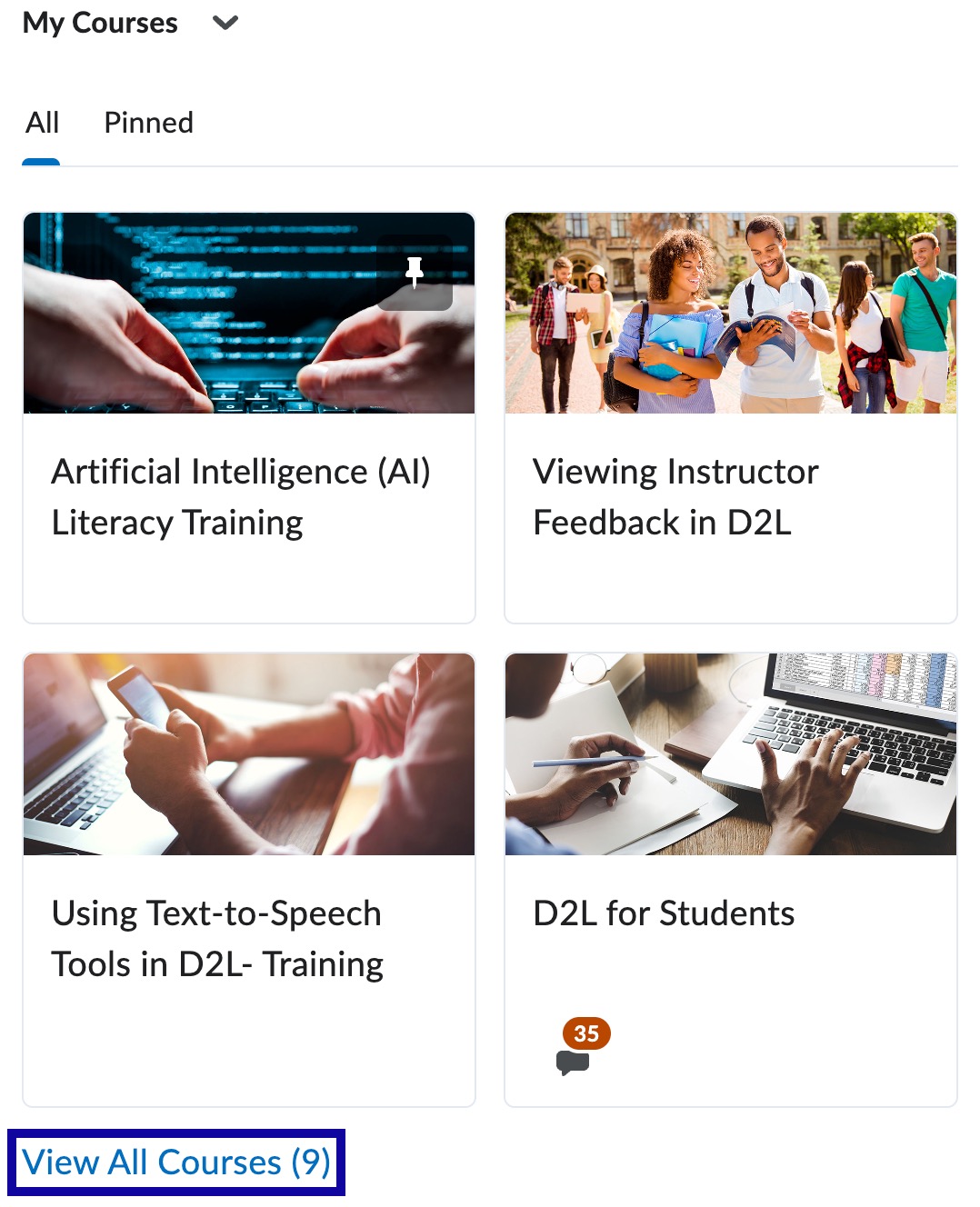 Screenshot of example courses with View All Courses link highlighted.