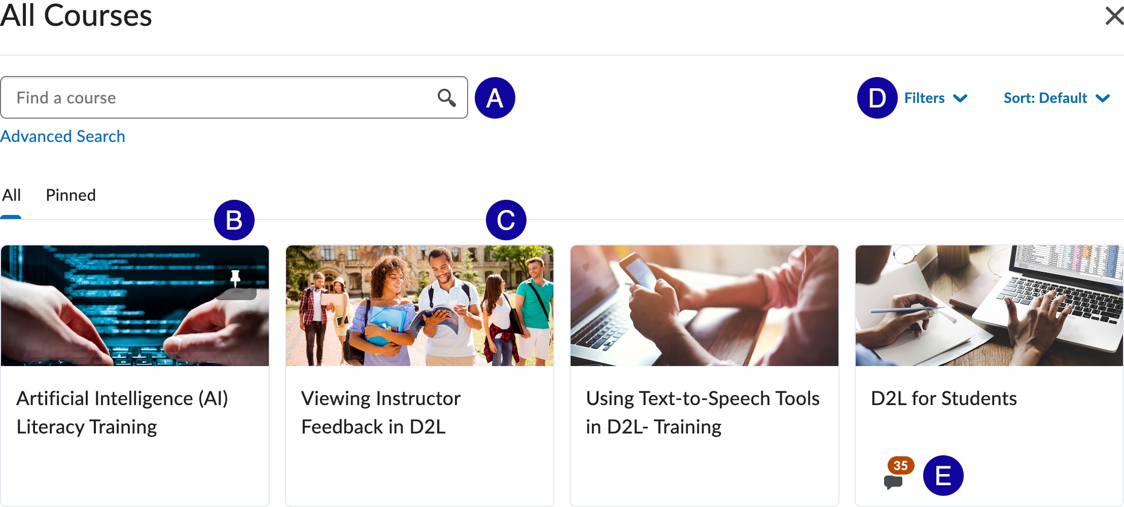 Screenshot of example of available courses to pin.