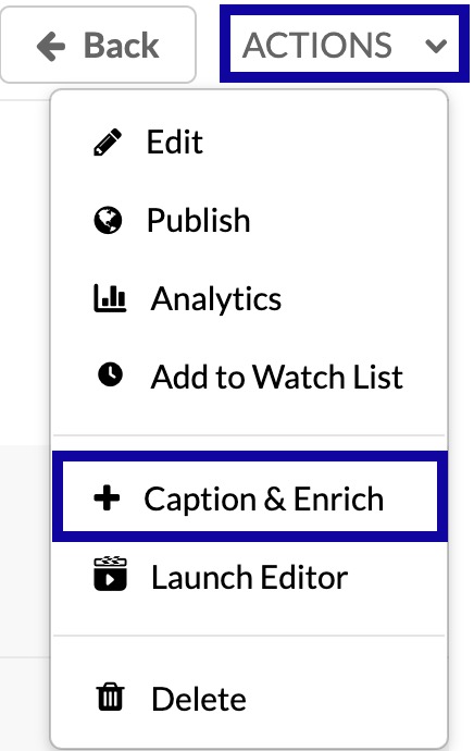 From the Actions dropdown menu, select Caption & Enrich.