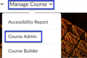 Select the Course Admin option.