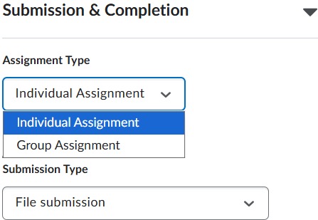 Submission Type example