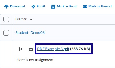 student submission to open the file example