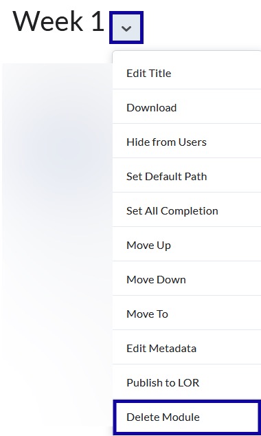 From the drop-down menu, select Delete Module.