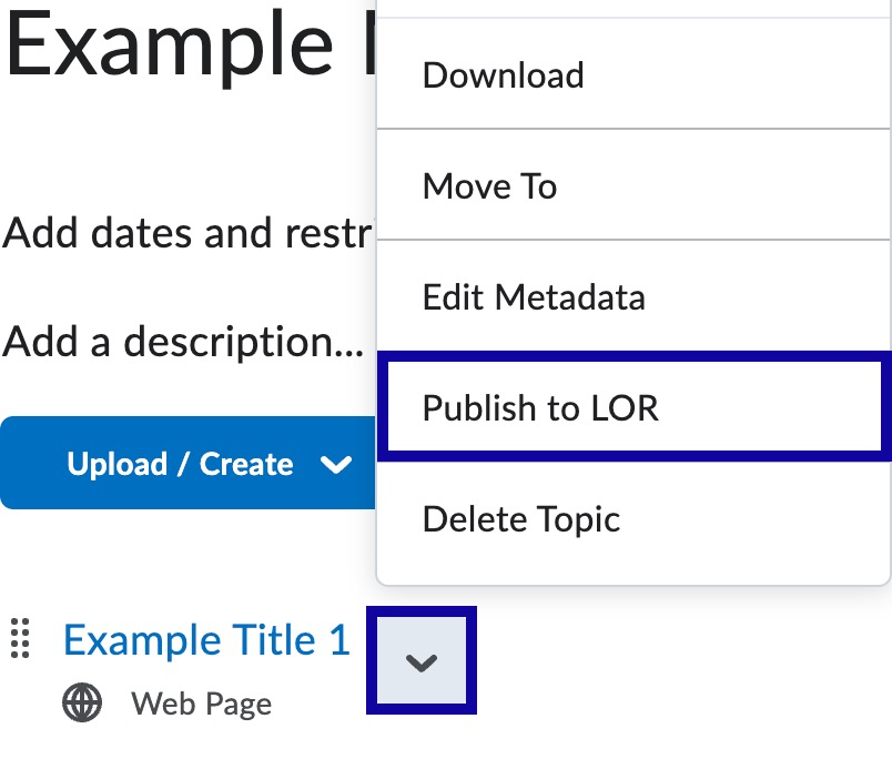 From the item drop-down menu, select Publish to LOR.