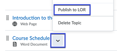 From the item drop-down menu, select Publish to LOR.