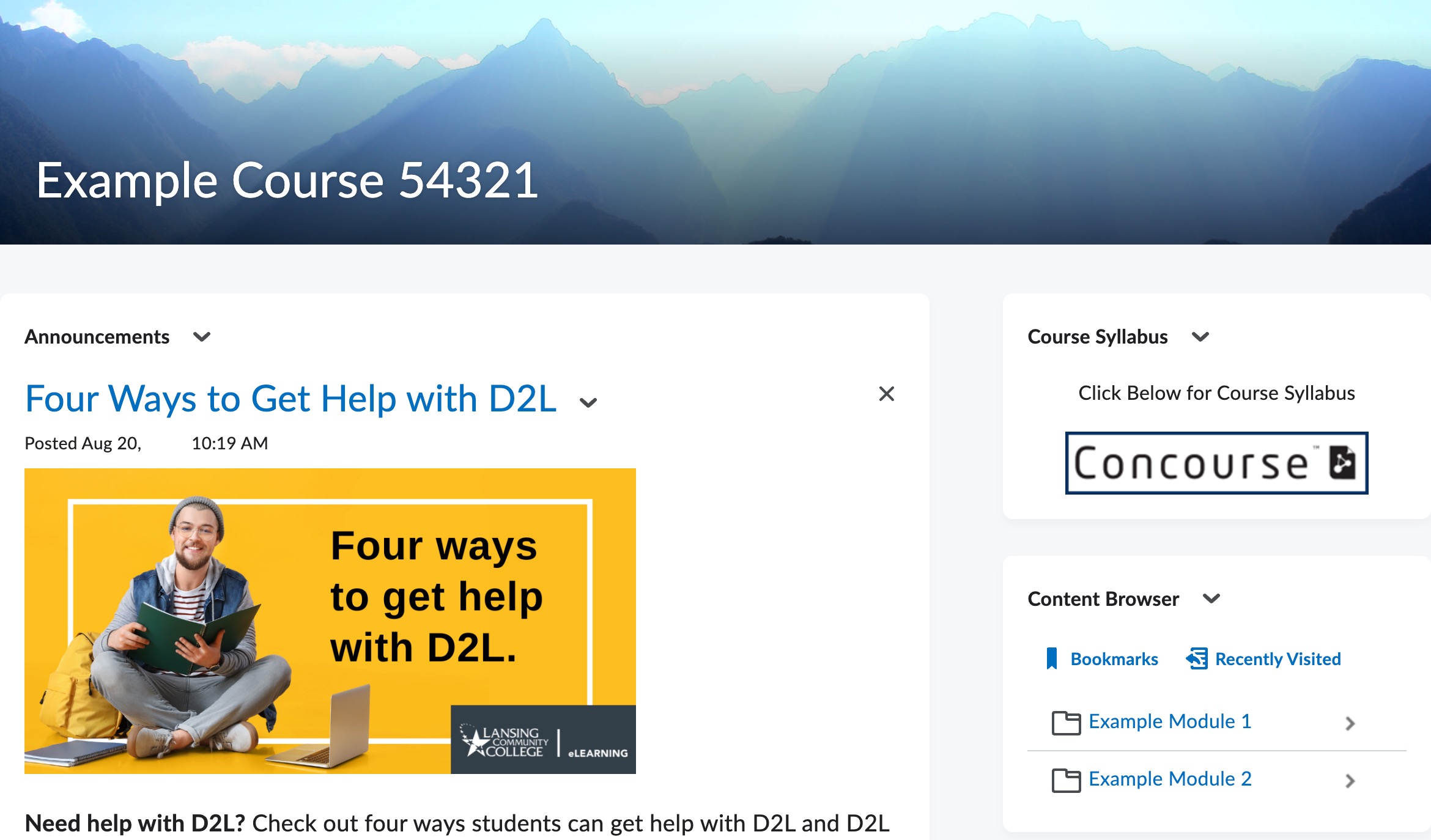 Default widgets on the Course Home Page.