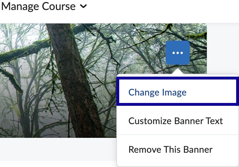 Change image highlighted in drop-down menu