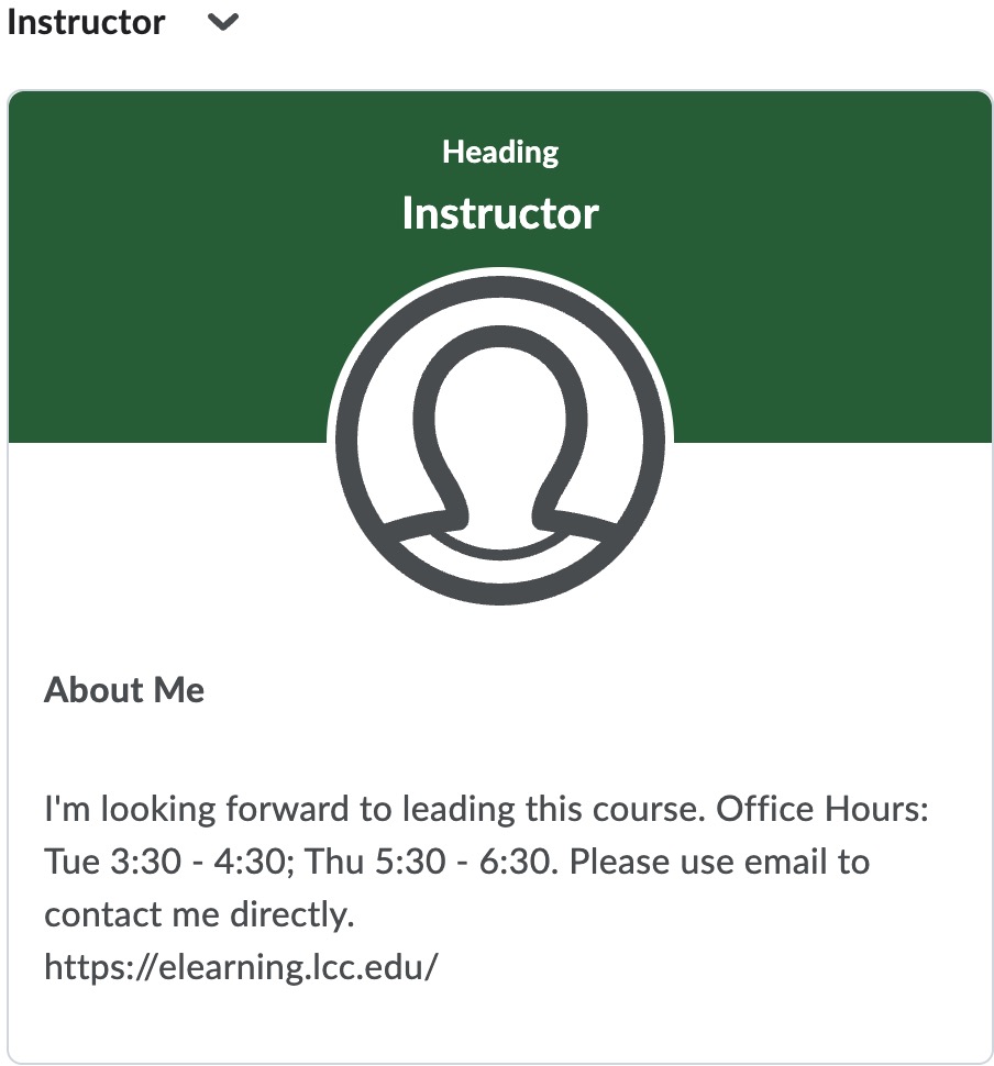 Instructor Widget