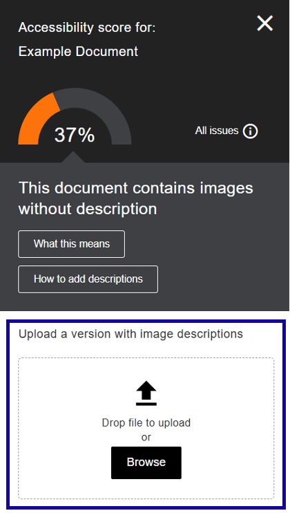 Upload a version with image descriptions under accessibility score