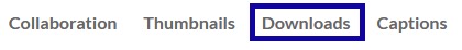 Select the Downloads tab.