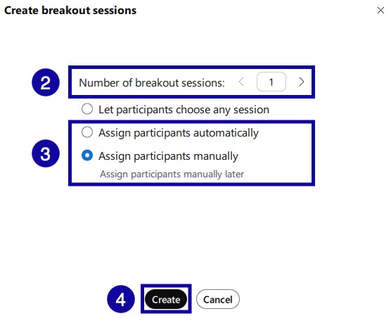 Create button and options highlighed