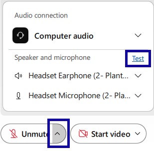 Test link and unmute button highlighted