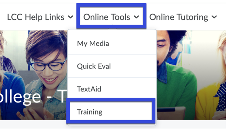 From within the system homepage in D2L, select Training from the Online Tools dropdown menu.