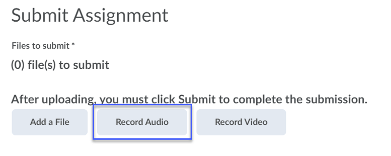 Record Audio button