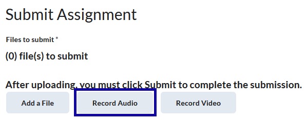 Record Audio button