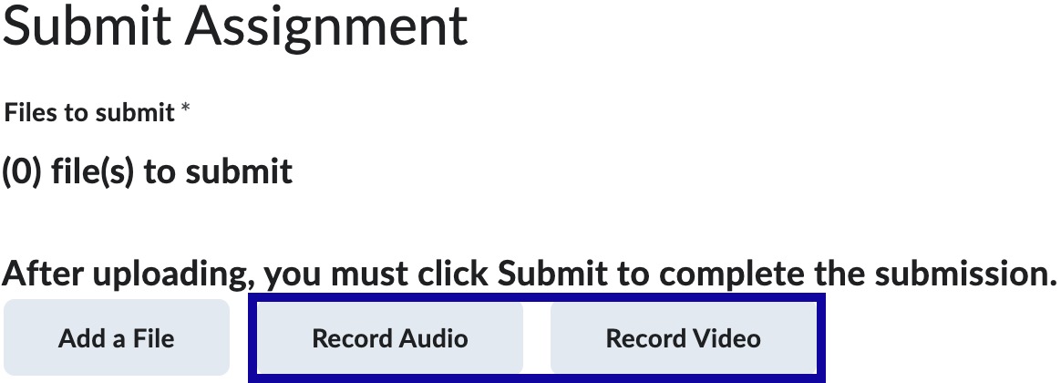 Record Audio button