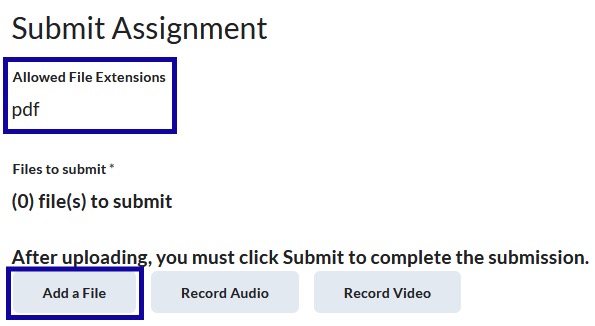 Submit Assignment Add a File example