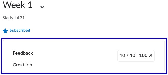 Feedback with comments and grade.