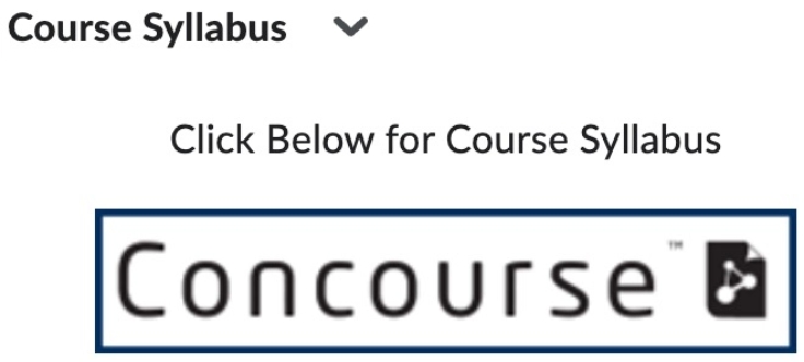 Course Syllabus (Concourse Syllabus System)