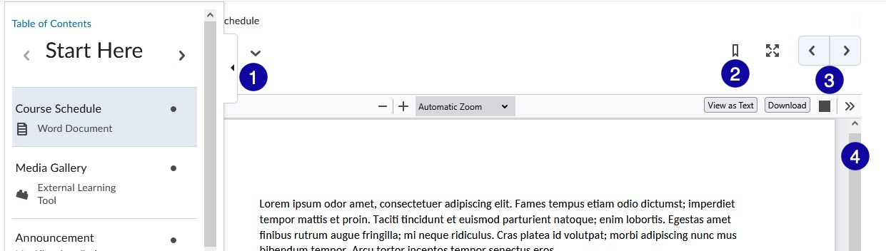 docReader on a desktop device