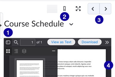 docReader on a mobile device