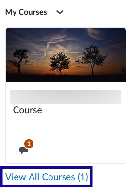 Screenshot of example courses with View All Courses link highlighted.