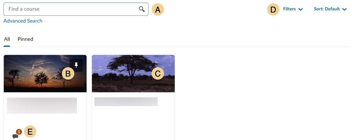 Screenshot of example of available courses to pin.