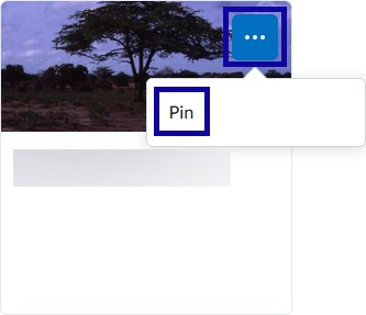 Selecting Pin from More Options menu.