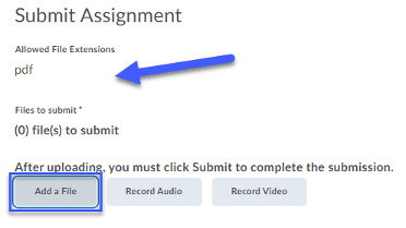 Submit Assignment Add a File example