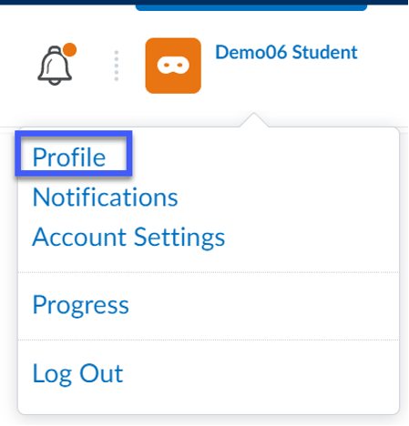 Screenshot indicating Profile navigation item