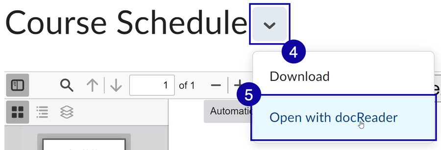 Drop-down docReader menu item example