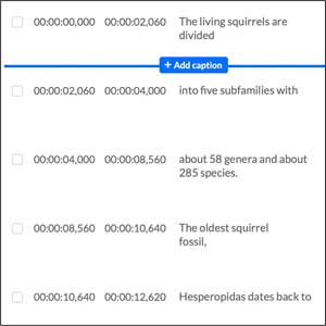 Timed closed caption segments within the Kaltura Closed Caption Editor