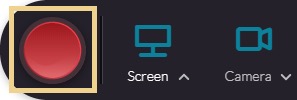 Select the round, Record button to begin recording.