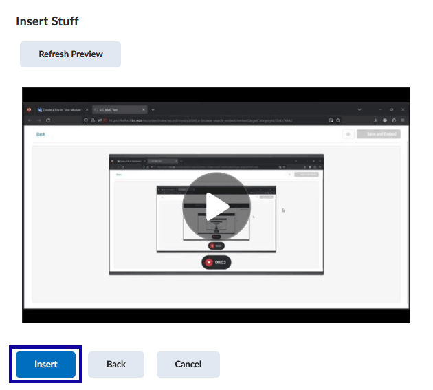 Menu Insert Video button example