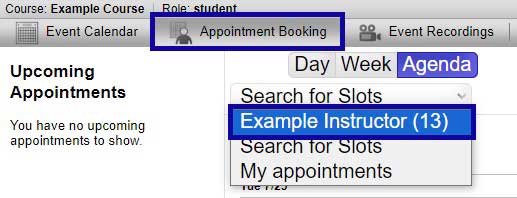 Screenshot highlighting the link to select the instructor in the Appointment Booking tab.