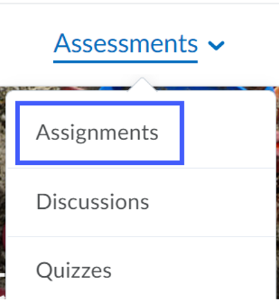 Assignments drop-down menu with Assignments selected.