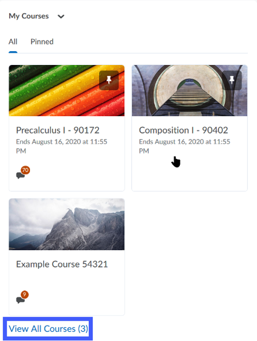 Screenshot of example courses with View All Courses link highlighted.