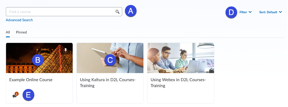 Screenshot of example of available courses to pin.