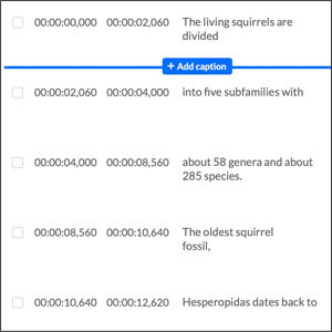 Timed closed caption segments within the Kaltura Closed Caption Editor