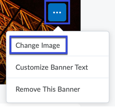 Once the More Options menu is active, select Change Image.