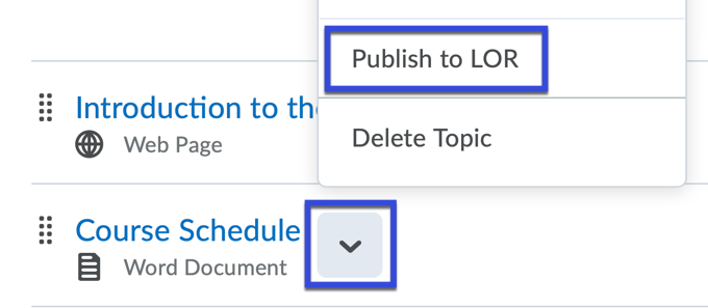 From the item drop-down menu, select Publish to LOR.
